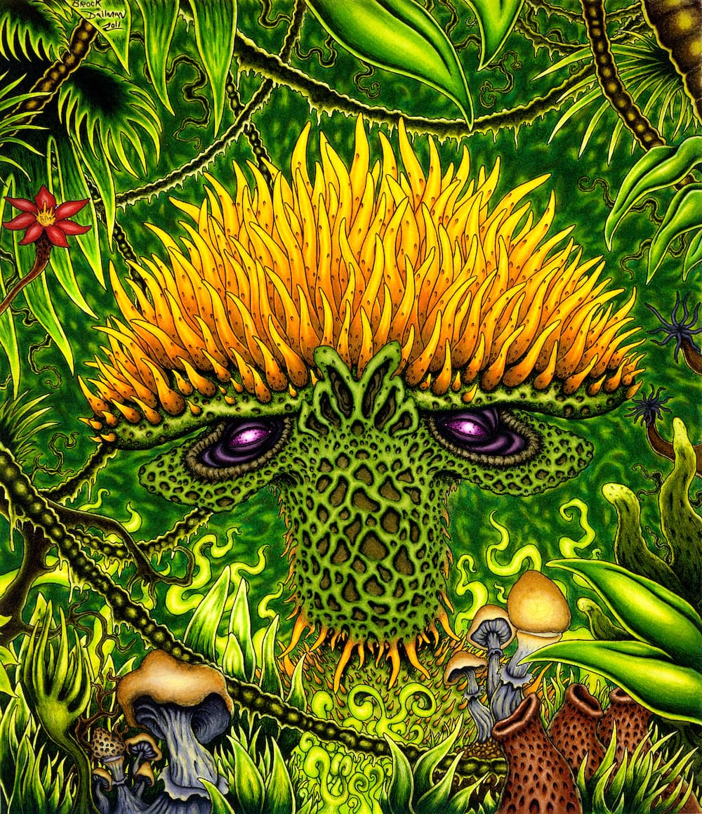 Fungoid by Brock Dallman
