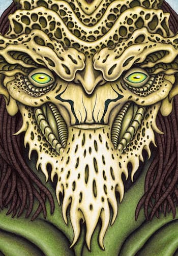 The Native by Brock Dallman